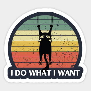 Cat I Do What I Want Sticker